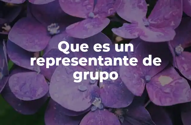 Que es un Representante de Grupo 2 El papel del representante de grupo en el entorno laboral