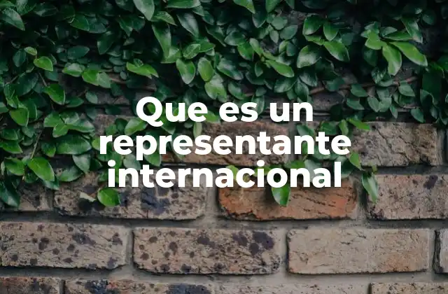 Que es un Representante Internacional