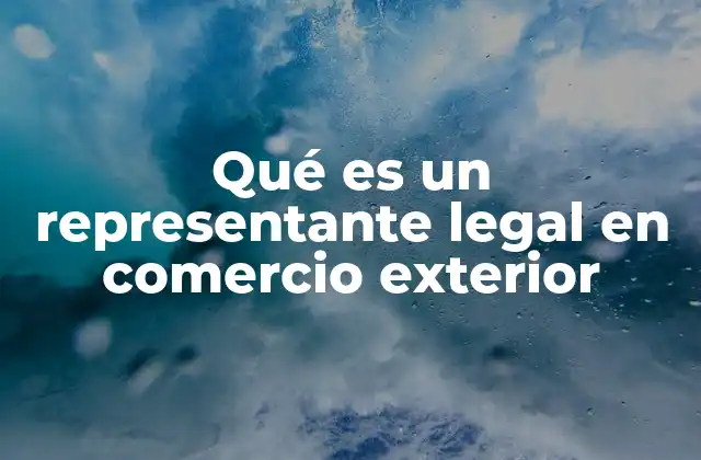 Qué es un Representante Legal en Comercio Exterior