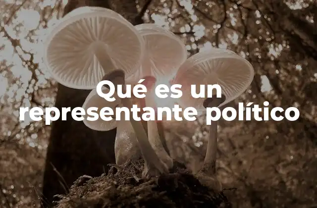 Qué es un Representante Político