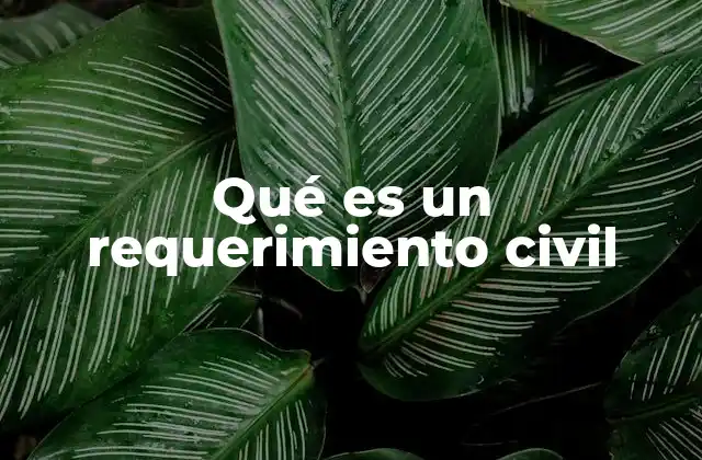 Qué es un Requerimiento Civil
