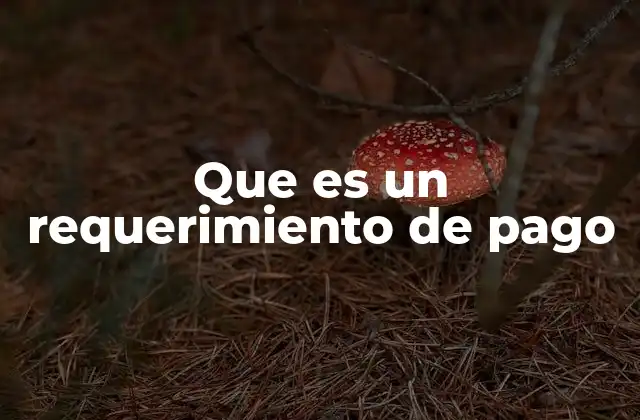 Que es un Requerimiento de Pago