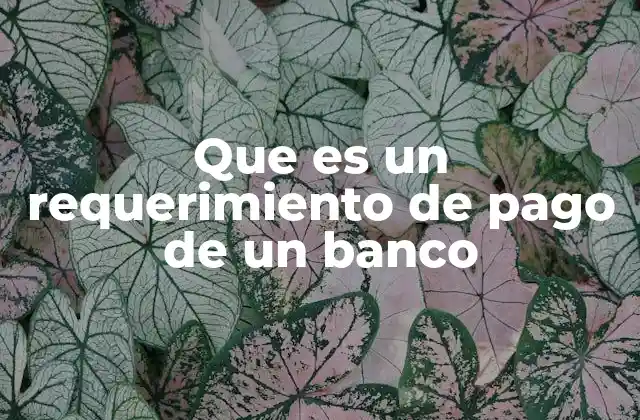 Que es un Requerimiento de Pago de un Banco 2 La importancia del requerimiento de pago en el sistema bancario