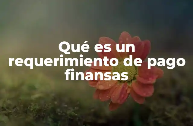 Qué es un Requerimiento de Pago Finansas