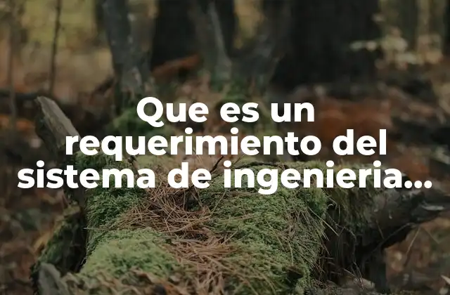 Que es un Requerimiento Del Sistema de Ingenieria de Software