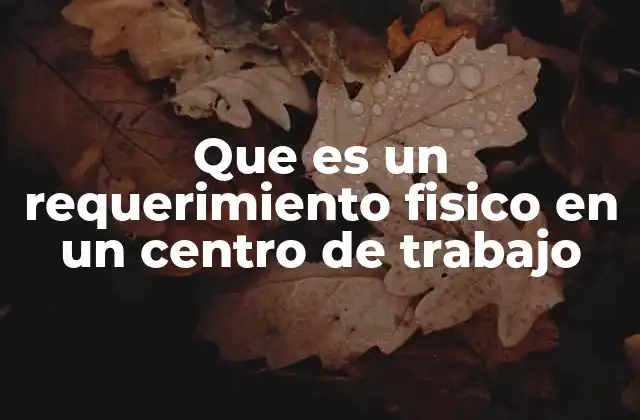 Que es un Requerimiento Fisico en un Centro de Trabajo