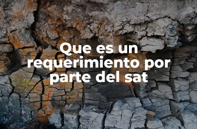 Cómo identificar y comprender un requerimiento del SAT