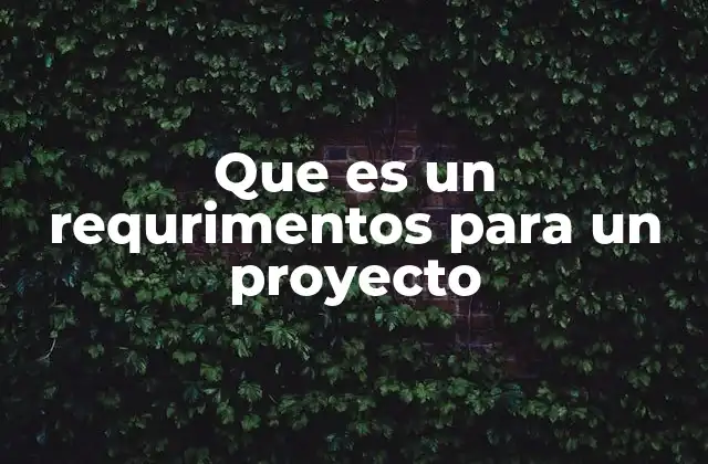 Que es un Requrimentos para un Proyecto
