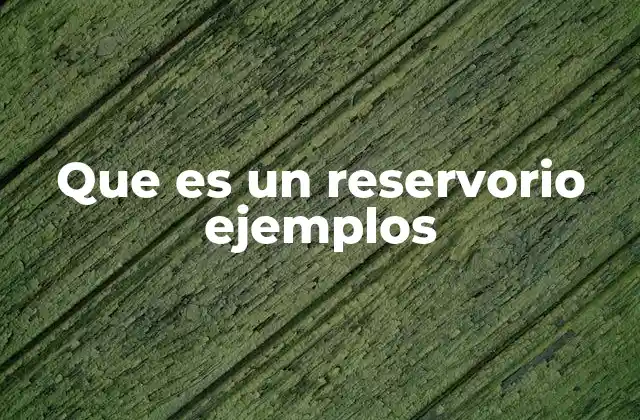 Que es un Reservorio Ejemplos