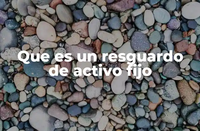 Que es un Resguardo de Activo Fijo