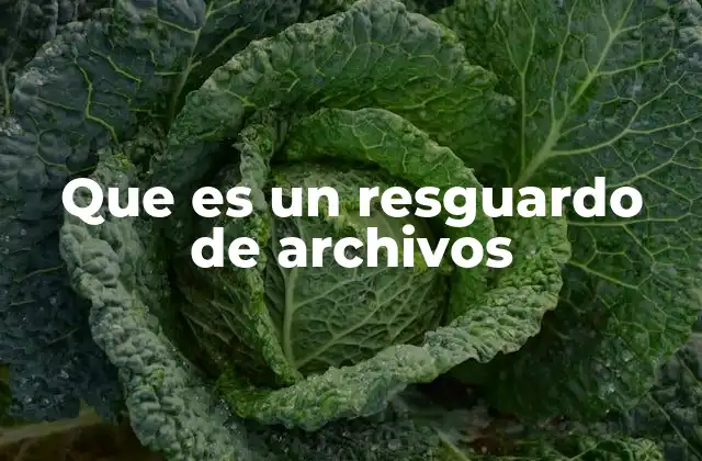 Que es un Resguardo de Archivos