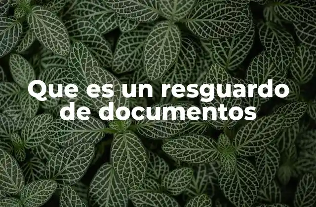 Que es un Resguardo de Documentos