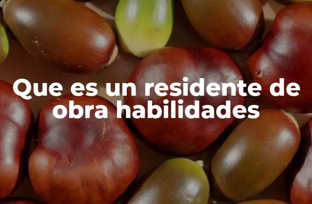 Que es un Residente de Obra Habilidades