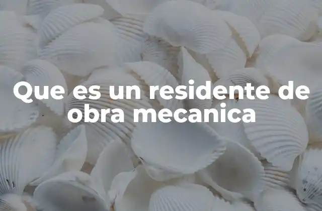 Que es un Residente de Obra Mecanica