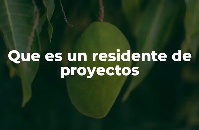 Que es un Residente de Proyectos
