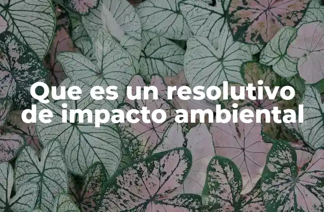 Que es un Resolutivo de Impacto Ambiental