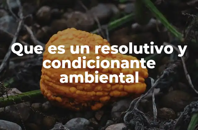 Que es un Resolutivo y Condicionante Ambiental