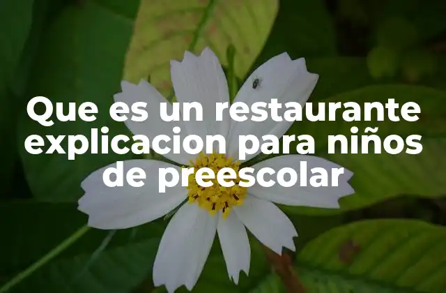Que es un Restaurante Explicacion para Niños de Preescolar
