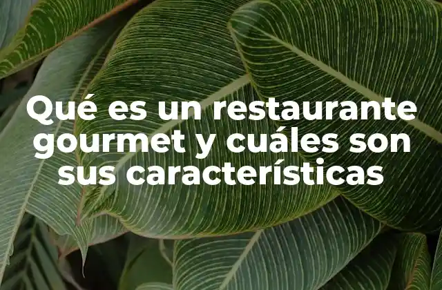 Qué es un Restaurante Gourmet y Cuáles Son Sus Características