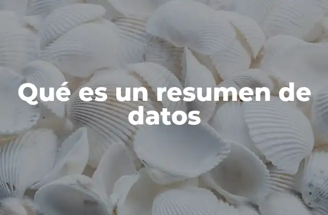 Qué es un Resumen de Datos