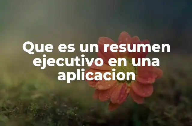 Que es un Resumen Ejecutivo en una Aplicacion