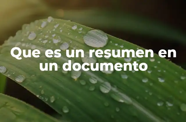 Que es un Resumen en un Documento