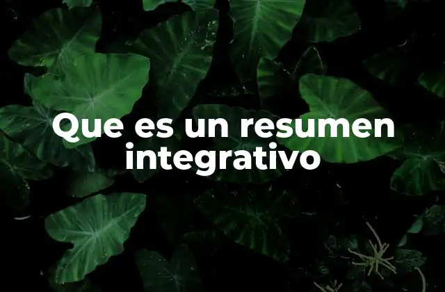 Que es un Resumen Integrativo