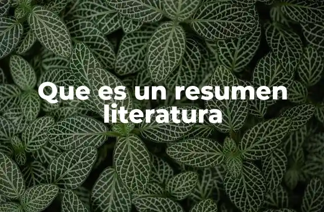 Que es un Resumen Literatura