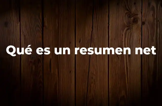Qué es un Resumen Net
