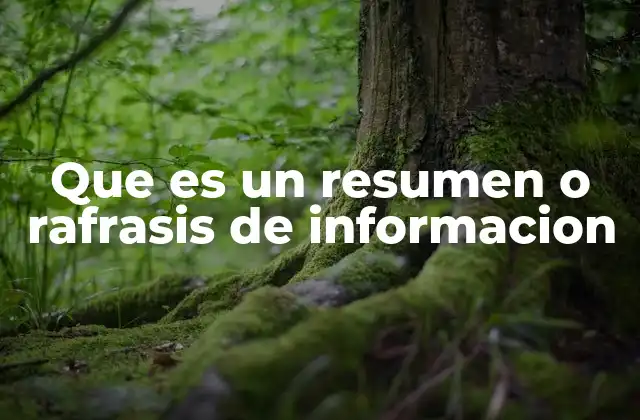 Que es un Resumen o Rafrasis de Informacion
