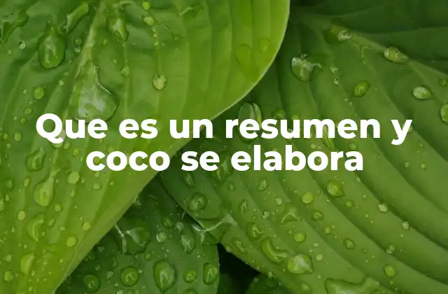 Que es un Resumen y Coco Se Elabora