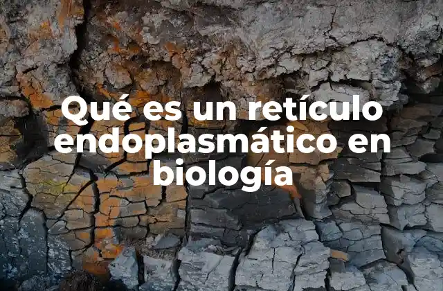 Qué es un Retículo Endoplasmático en Biología 2 El complejo sistema membranoso de la célula eucariota