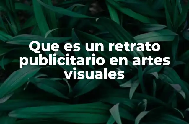 Que es un Retrato Publicitario en Artes Visuales