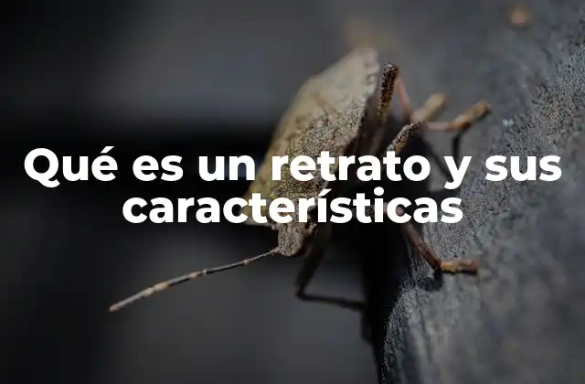 Qué es un Retrato y Sus Características