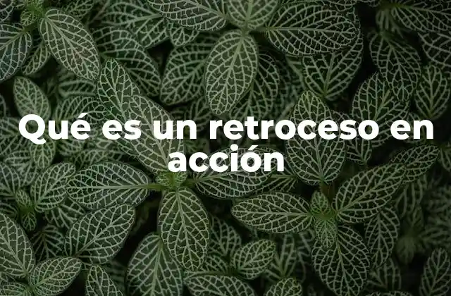 Qué es un Retroceso en Acción