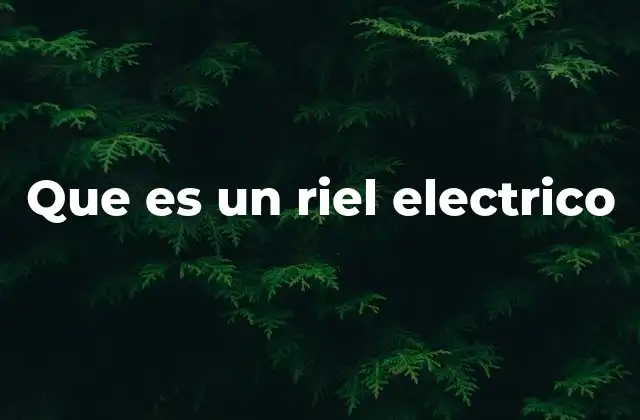 Que es un Riel Electrico
