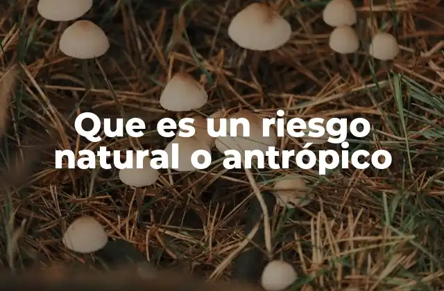 Que es un Riesgo Natural o Antrópico