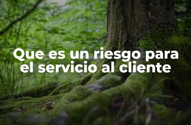 Que es un Riesgo para el Servicio Al Cliente