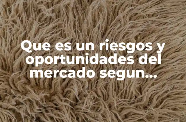 Que es un Riesgos y Oportunidades Del Mercado Segun Autores