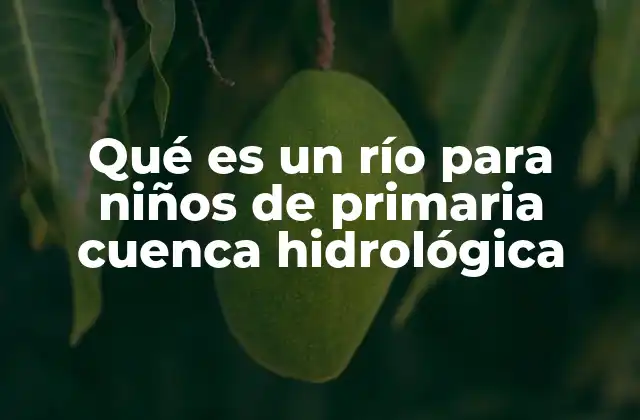 Qué es un Río para Niños de Primaria Cuenca Hidrológica