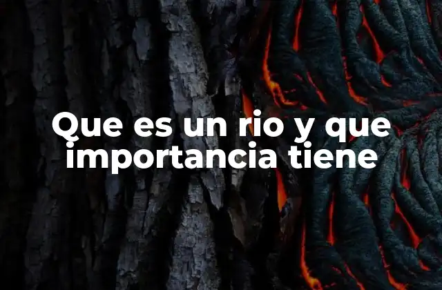 Que es un Rio y que Importancia Tiene