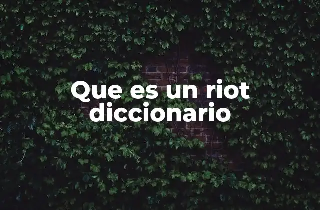 Que es un Riot Diccionario