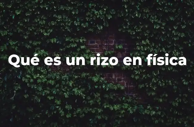 Qué es un Rizo en Física