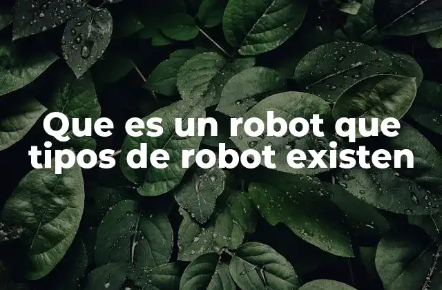 Que es un Robot que Tipos de Robot Existen