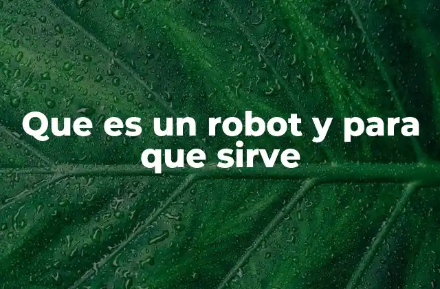 Que es un Robot y para que Sirve