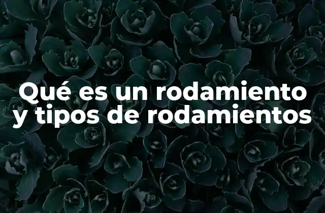 Qué es un Rodamiento y Tipos de Rodamientos