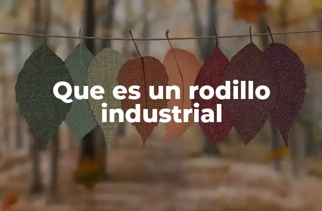 Que es un Rodillo Industrial
