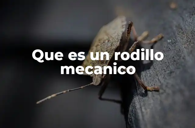 Que es un Rodillo Mecanico