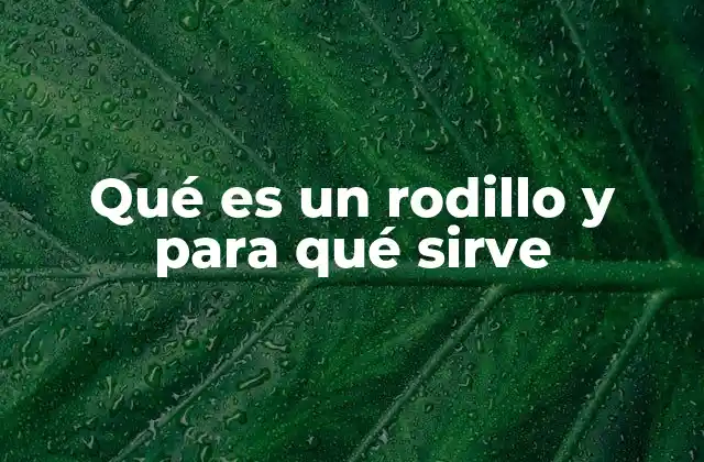 Qué es un Rodillo y para Qué Sirve