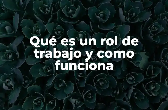 Qué es un Rol de Trabajo y como Funciona